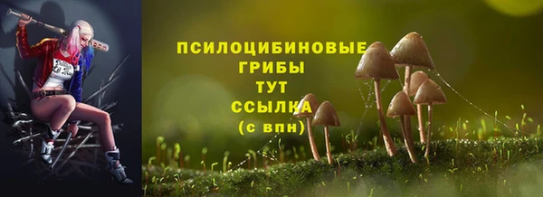 первитин Володарск