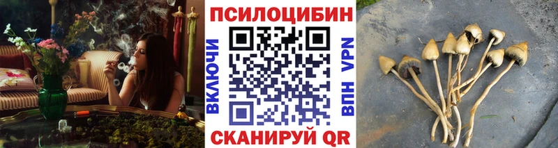 как найти закладки  Нея  OMG онион  Галлюциногенные грибы Psilocybe 